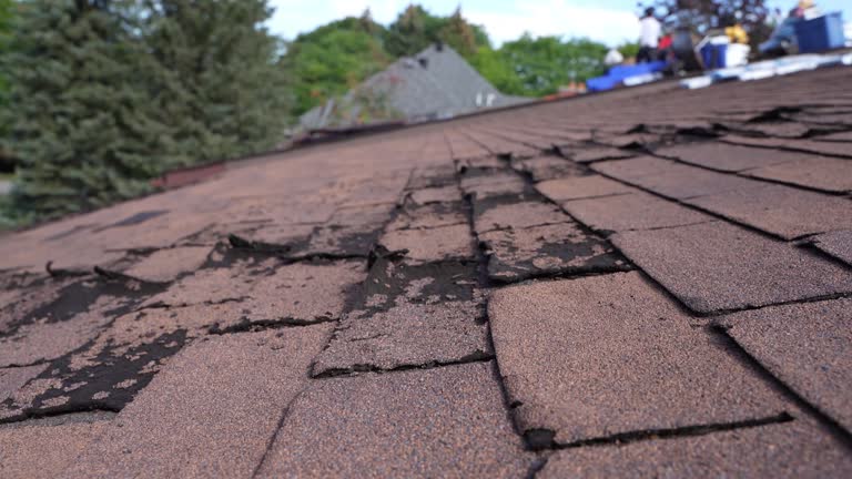 Best Metal Roofing Installation  in Limon, CO