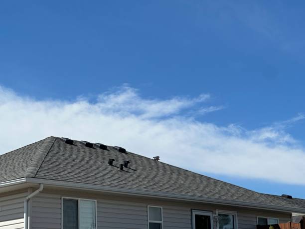  Limon, CO Roofing Service Pros